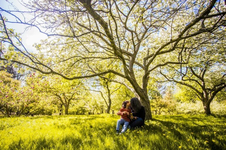 nhp benefits of spending time in nature 7707249.jpg