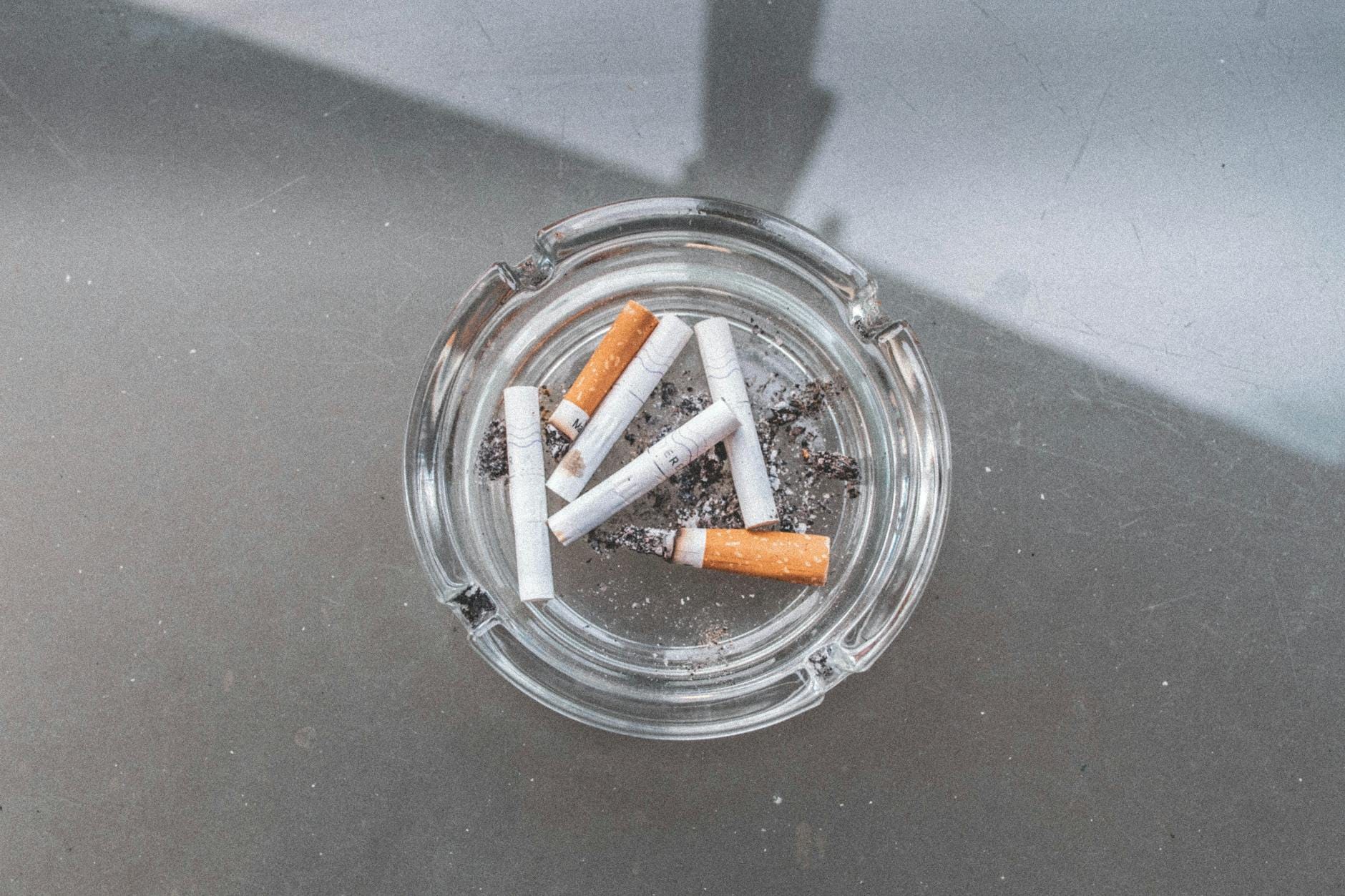 What Is Neuroplasticity And How To Use It nhp what is neuroplasticity and how to use i 28747789.jpg